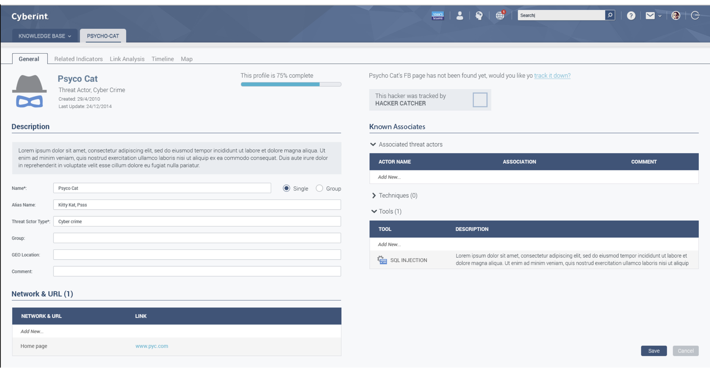 An entity profile card surfacing context, with fields analysts can enrich manually.